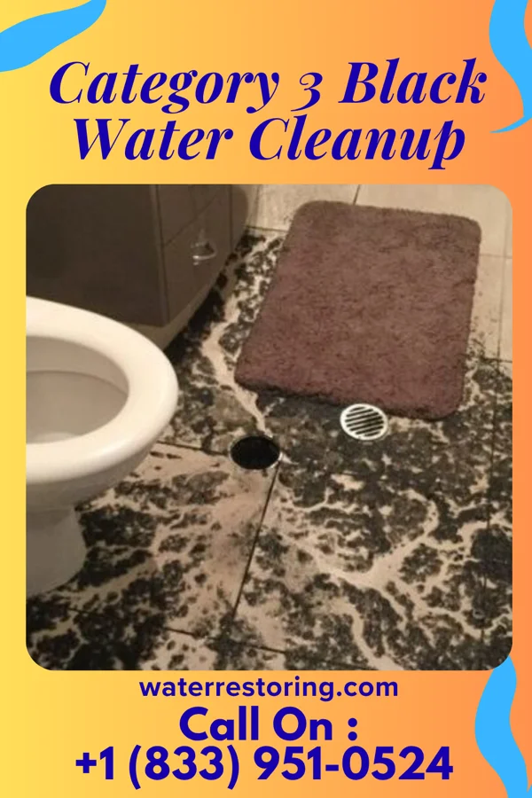 Category 3 Black Water Cleanup in Laurie, MO